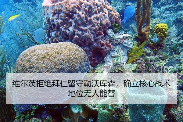 wei-er-ci-ju-jue-bai-ren-liu-shou-lei-wo-ku-sen-que-li-he-xin-zhan-shu-di-wei-wu-ren-neng-ti-2-113.jpg