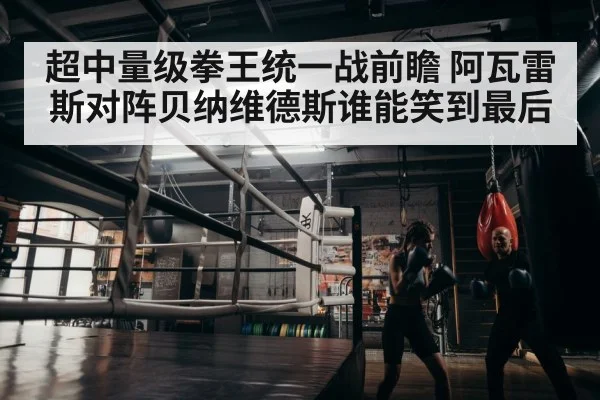 boxer training gym